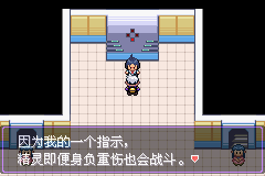 《口袋妖怪漆黑的魅影》5.0图文攻略