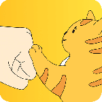 友猫app