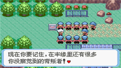 口袋妖怪蛇纹木