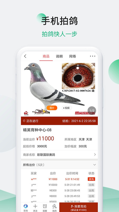 中国信鸽信息网app