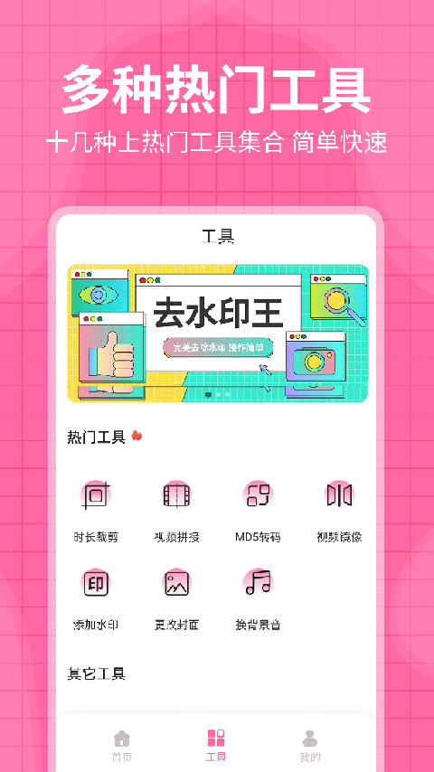 去水印王