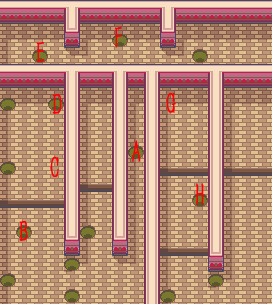 《口袋妖怪漆黑的魅影》5.0图文攻略