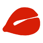 电子木鱼功德版