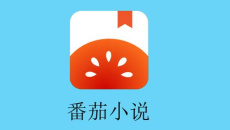 《番茄小说》下载的小说在本地哪个文件夹