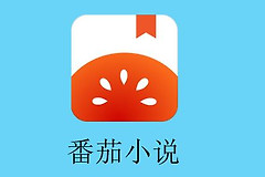 《番茄小说》下载的小说在本地哪个文件夹