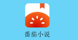 《番茄小说》下载的小说在本地哪个文件夹