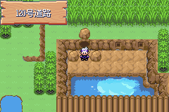 《口袋妖怪漆黑的魅影》5.0图文攻略