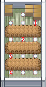 《口袋妖怪漆黑的魅影》5.0图文攻略