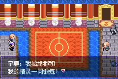 《口袋妖怪漆黑的魅影》5.0图文攻略