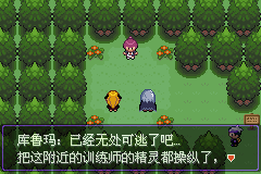 《口袋妖怪漆黑的魅影》5.0图文攻略