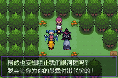 《口袋妖怪漆黑的魅影》5.0图文攻略