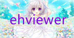 《e站》注册显示IP地址限制怎么办