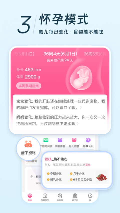 美柚app