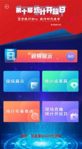 贵州统计发布手机app