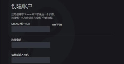 《steam》账户名称合格填写格式介绍