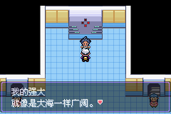 《口袋妖怪漆黑的魅影》5.0图文攻略