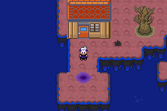 《口袋妖怪漆黑的魅影》5.0图文攻略