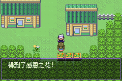 《口袋妖怪漆黑的魅影》5.0图文攻略