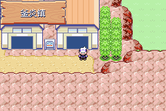 《口袋妖怪漆黑的魅影》5.0图文攻略