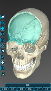 人体解剖学图集