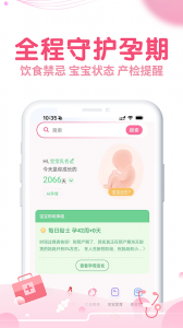 疯狂造人备孕怀孕