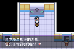 《口袋妖怪漆黑的魅影》5.0图文攻略