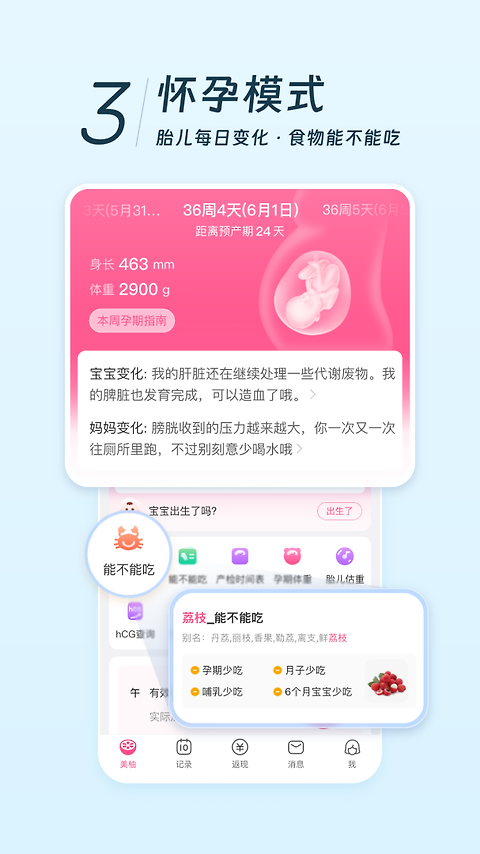 美柚app