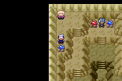 《口袋妖怪漆黑的魅影》5.0图文攻略