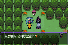 《口袋妖怪漆黑的魅影》5.0图文攻略