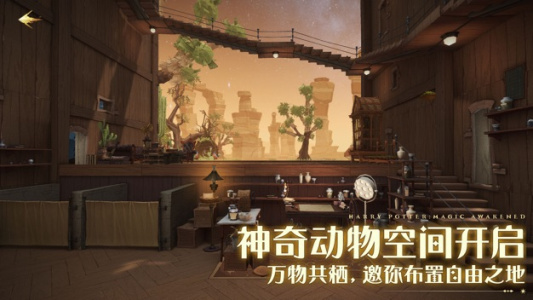 哈利波特魔法觉醒官服