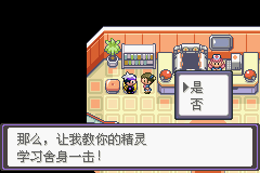 《口袋妖怪漆黑的魅影》5.0图文攻略