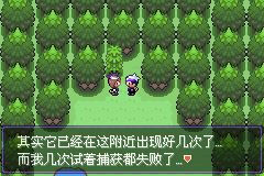 《口袋妖怪漆黑的魅影》5.0图文攻略