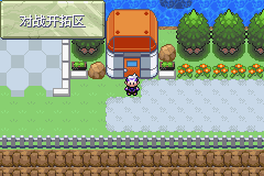 《口袋妖怪漆黑的魅影》5.0图文攻略