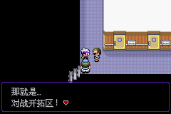 《口袋妖怪漆黑的魅影》5.0图文攻略