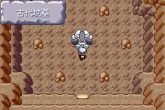 《口袋妖怪漆黑的魅影》5.0图文攻略