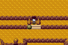 《口袋妖怪漆黑的魅影》5.0图文攻略