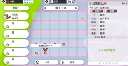 《宝可梦》中的6v是什么意思