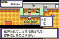 《口袋妖怪漆黑的魅影》5.0图文攻略