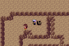 《口袋妖怪漆黑的魅影》5.0图文攻略