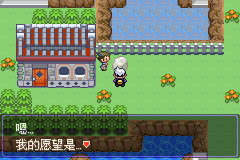 《口袋妖怪漆黑的魅影》5.0图文攻略