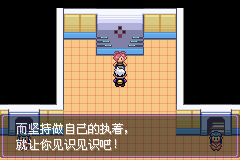 《口袋妖怪漆黑的魅影》5.0图文攻略