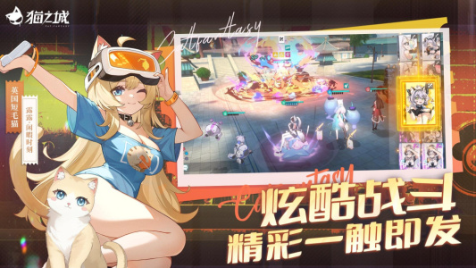 猫之城官方版
