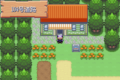 《口袋妖怪漆黑的魅影》5.0图文攻略