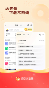 悟空浏览器大字版