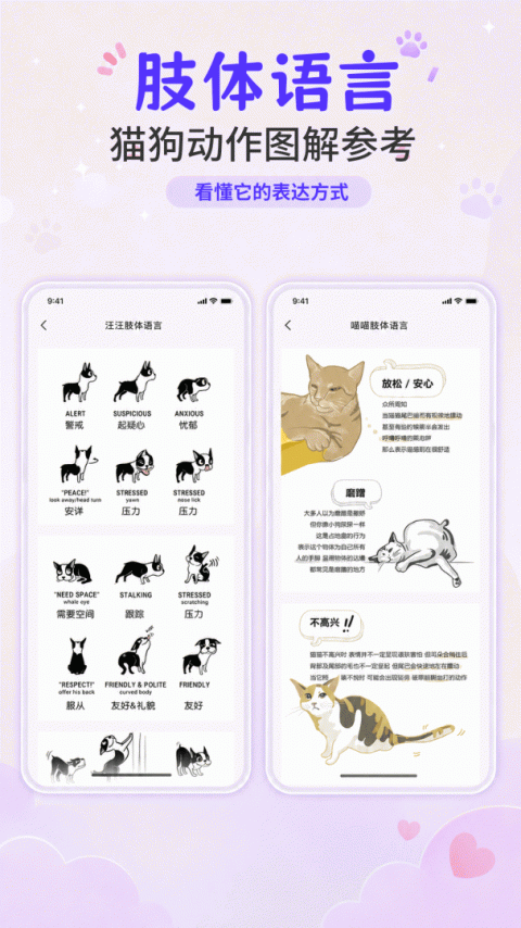 猫叫模拟器