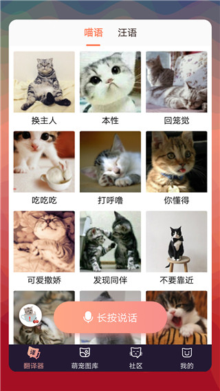 猫语翻译器