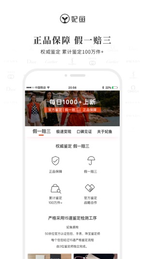 妃鱼2024版