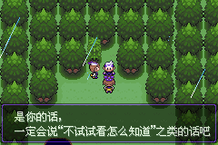 《口袋妖怪漆黑的魅影》5.0图文攻略