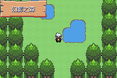 《口袋妖怪漆黑的魅影》5.0图文攻略