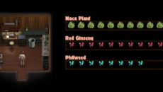 《纳迪亚之宝》金缕草在哪找